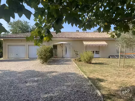 panjas (32110)