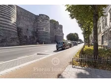 achat appartement 2 pièces 44m² angers 49100