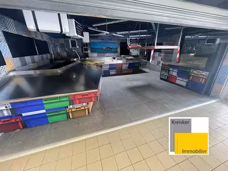 vente locaux professionnels 0 pièces 62 m² à saint-martin-des-champs (29600)  200 148 €