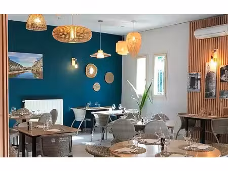 vente locaux professionnels à anduze (30140)  330 000 €