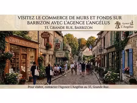 vente locaux professionnels 4 pièces à barbizon (77630)  462 000 €