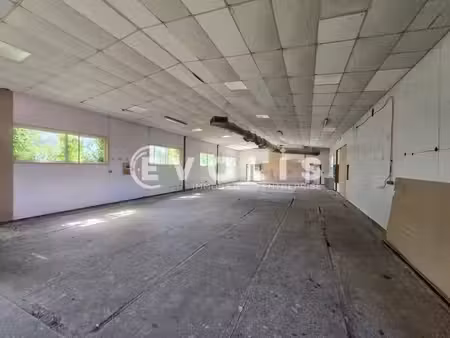 location local d’activités ollainville 91340 115m²