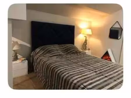 location appartement t1 meublé à lyon 8e (69008) : à louer t1 meublé / 15m² lyon 8e