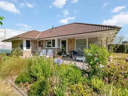 maison à vendre à sint-michiels € 495.000 (lqy20) - depauw vastgoed | zimmo