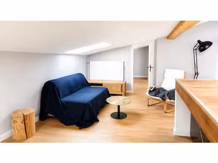 location appartement 2 pièces 40 m² à lyon 1 (69001)