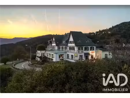 vente boutique/local commercial 953 m²