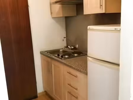 studio 1 pièce 19 m²