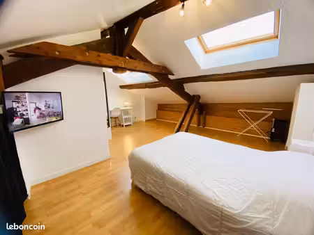 ◊ location – appartement de caractère – centre-ville d’agen – 163 m²