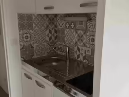 studio 1 pièce 18 m²