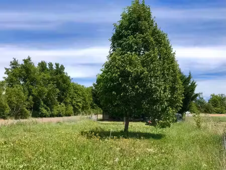 jardin / terrain 1000 m2