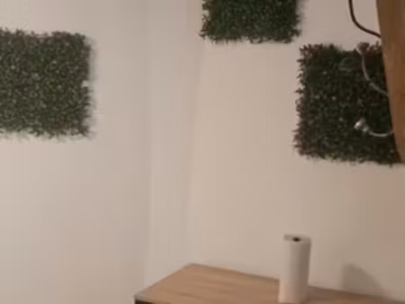 t2 duplex meublé