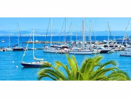 appartement avec terrasse en bord de mer porquerolles (83)