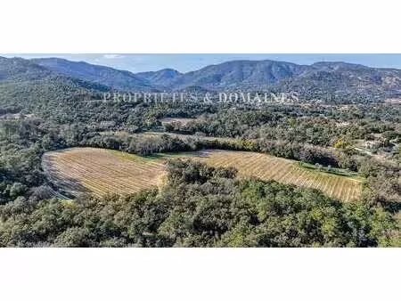 vignoble grimaud (83)