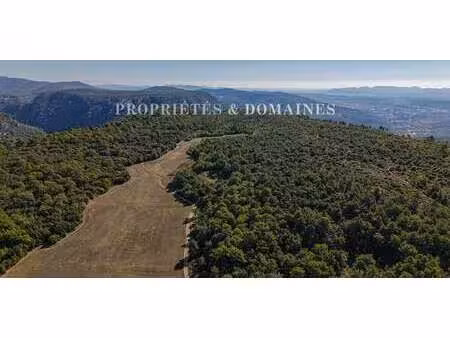 vignoble lorgues (83)