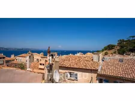 propriété saint-tropez (83)