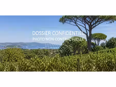 vignoble saint-tropez (83)