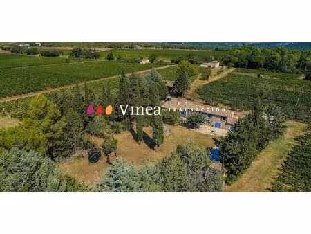 vignoble avec piscine callas (83)