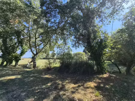 magnifique emplacement coeur de marais et moins de 10mn des