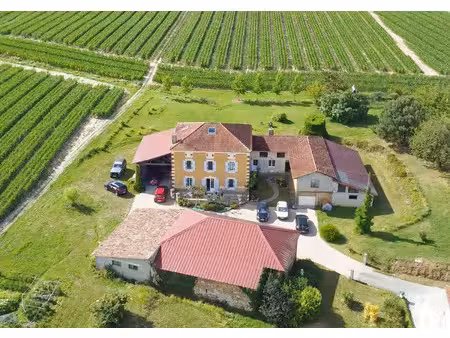 maison à vendre saint sever 6 pièce(s) 253m2 413 000€