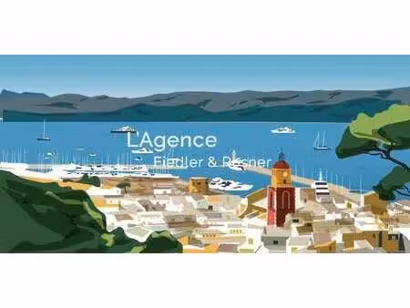 propriété saint-tropez (83)