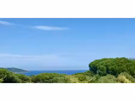 villa avec piscine en bord de mer ramatuelle (83)