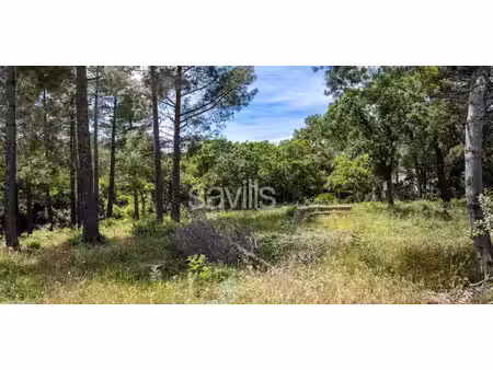 terrain grimaud (83)