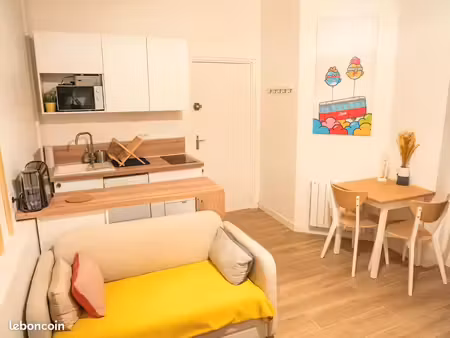 studio meublé rénové – 26 m² utiles – jacobins