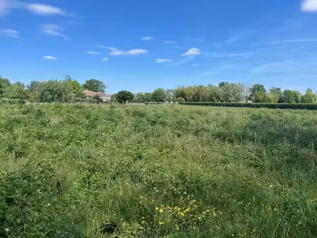 vente terrain 4200 m² à saint-pierre-d'eyraud (24130)  52 000 €