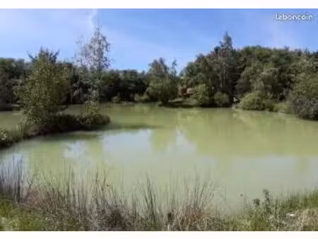 recherche petit plan d'eau secteur 31660 31340 81500 81800 pour l'usage de la pêche carpe