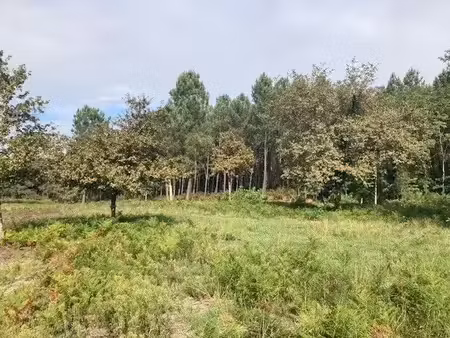 vente terrain 856 m² à saint-martin-d'oney (40090)  63 878 €