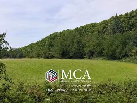 vente terrain 700 m² à buzet-sur-baïse (47160)  49 064 €