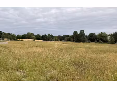 vente terrain 984 m² à blan (81700)  56 000 €