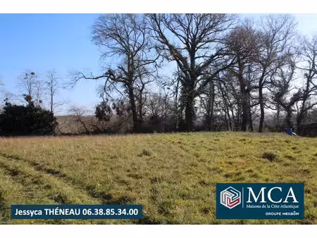 vente terrain 2873 m² à préchacq-les-bains (40465)  64 000 €