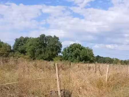 vente terrain 1000 m² à riberac (24600)  80 000 €