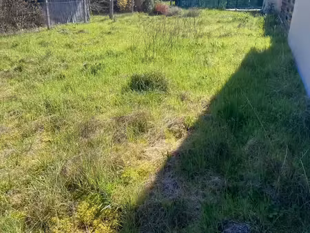 vente terrain 220 m² à biscarrosse (40600)  85 000 €
