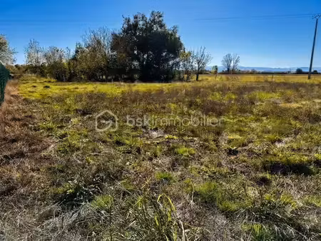 vente terrain 1553 m² à bois-de-la-pierre (31390)  89 000 €