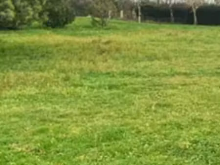 vente terrain 1000 m² à bourg sur gironde (33710)  85 000 €