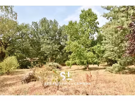 vente terrain 1191 m² à cadalen (81600)  91 000 €