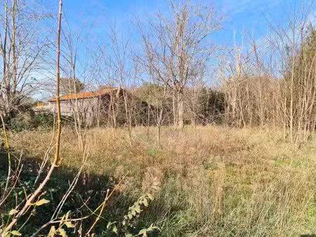 vente terrain 1997 m² à grayan-et-l'hôpital (33590)  119 600 €