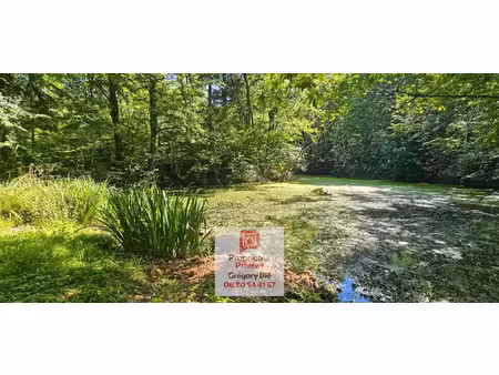 vente terrain 96594 m² à la ferté-sous-jouarre (77260)  118 000 €