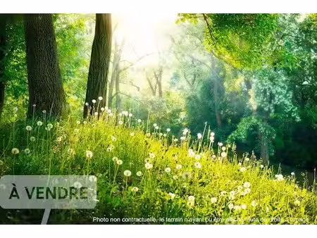 vente terrain 532 m² à chateau-d'olonne (85180)  274 000 €