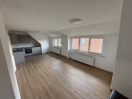 appartement 2 chambres fraichement rénové à seraing