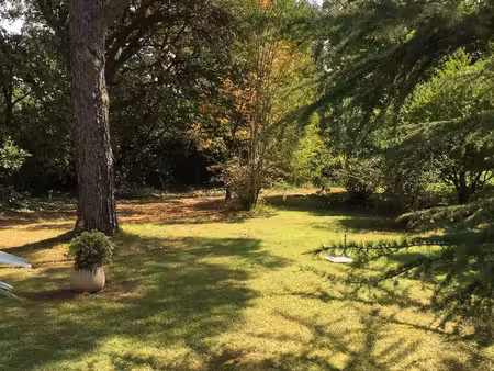 terrain à vendre