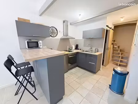 duplex 1 pièce 28 m²
