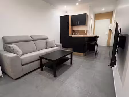 location meublée appartement 1 pièce 25 m² à saint-etienne (42000)  600 €