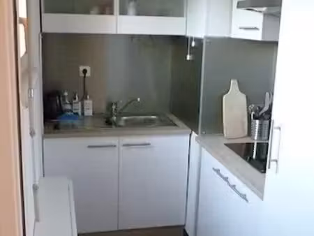 location meublée appartement 1 pièce 22 m² à strasbourg (67000)  620 €