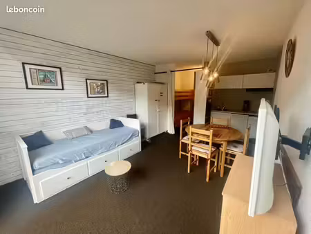 studio 1 pièce 24 m²
