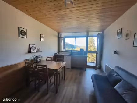 bel appartement aux pieds des pistes
