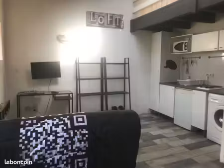 location étudiante meublée narbonne: grand appartement t1 mezzanine
