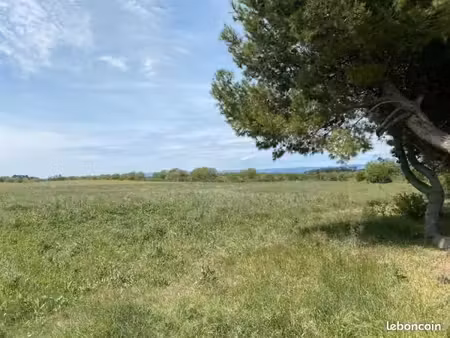 terrain 1 305 m² floure